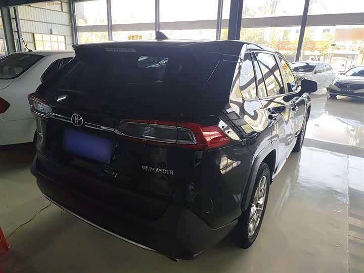 Фото 7 - Toyota Wildlander