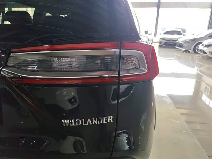Фото 8 - Toyota Wildlander