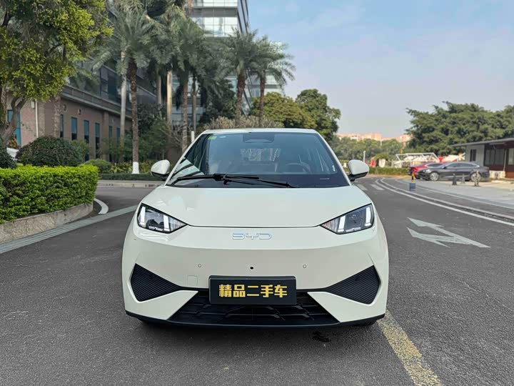 Фото 2 - BYD Seagull