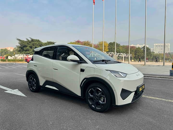 Фото 3 - BYD Seagull