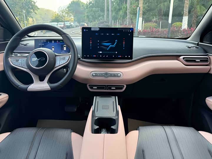 Фото 8 - BYD Seagull