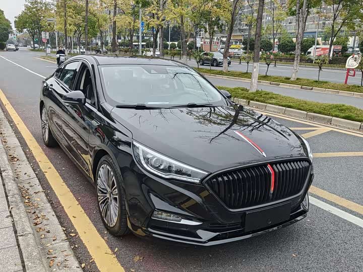 Фото 2 - Hongqi H5