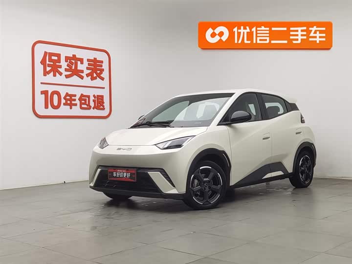 Фото 1 - BYD Seagull