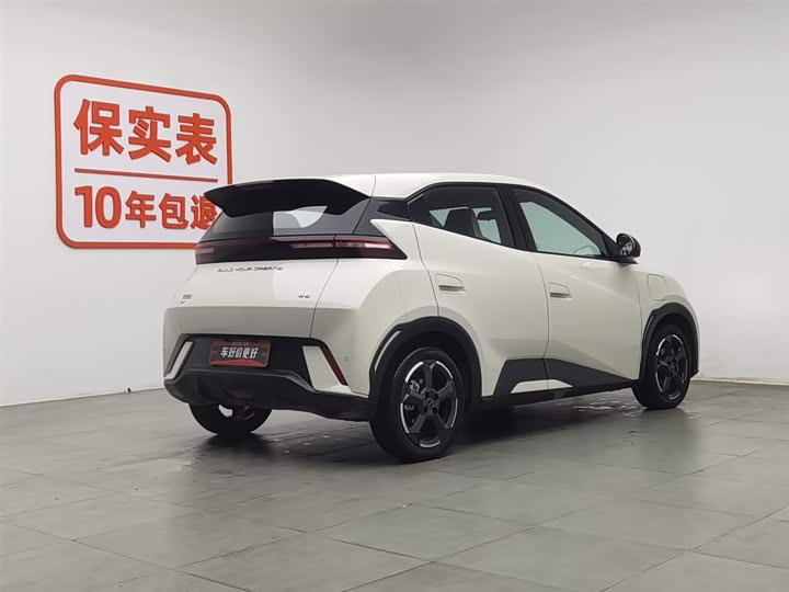 Фото 2 - BYD Seagull