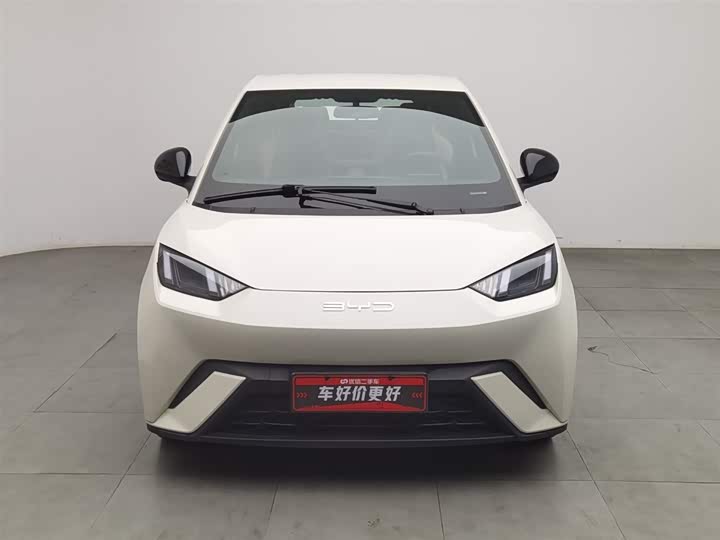 Фото 3 - BYD Seagull