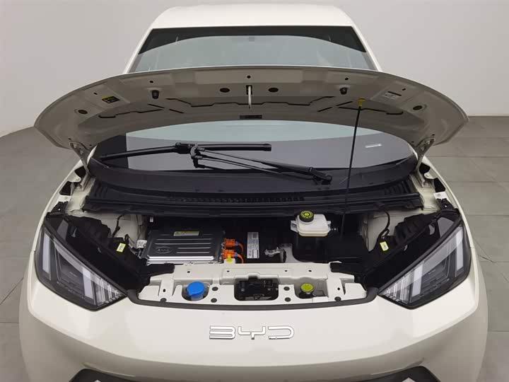 Фото 6 - BYD Seagull