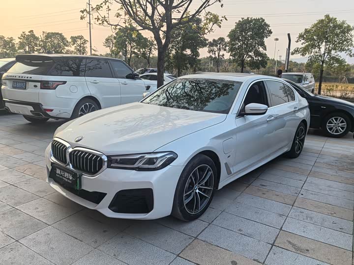 Фото 1 - BMW 5 Series Hybrid