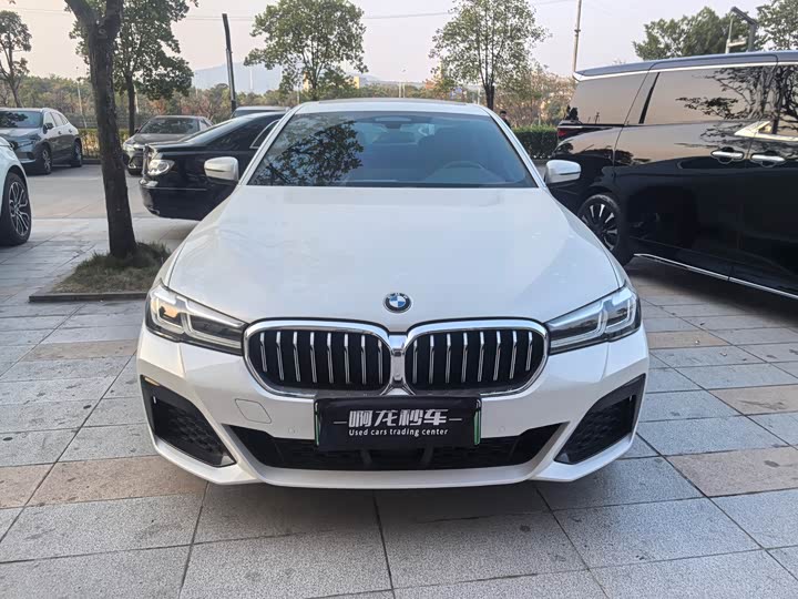 Фото 2 - BMW 5 Series Hybrid