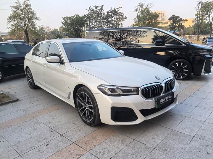 Фото 3 - BMW 5 Series Hybrid