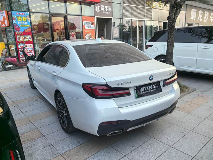 Фото 8 - BMW 5 Series Hybrid