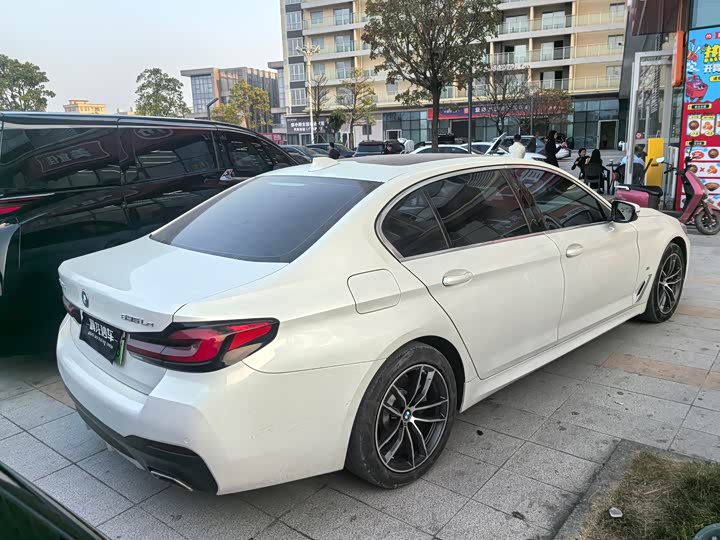 Фото 9 - BMW 5 Series Hybrid