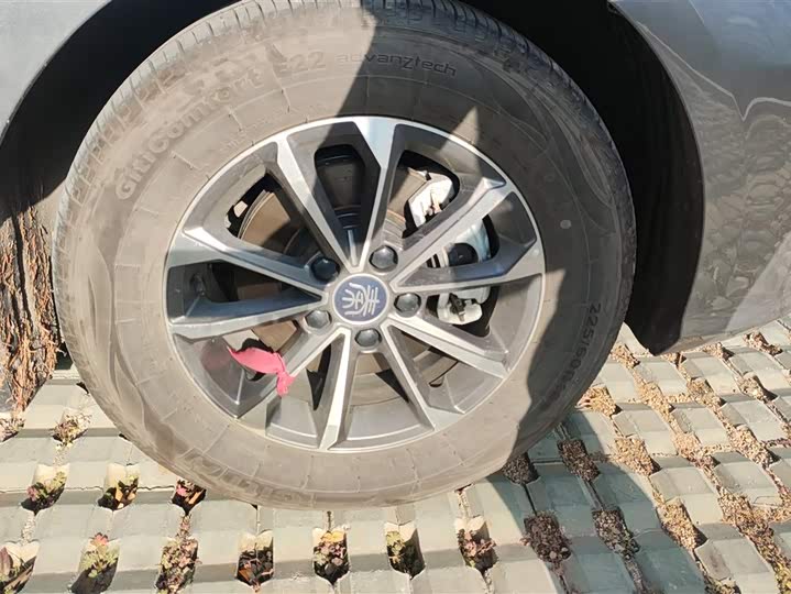 Фото 6 - BYD Qin Plus