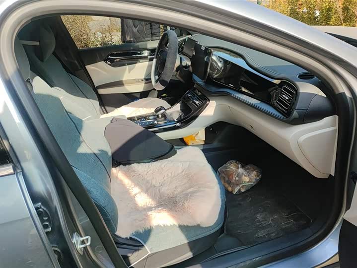 Фото 8 - BYD Qin Plus