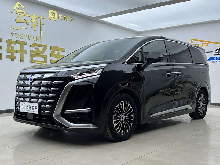 Фото 1 - Denza D9