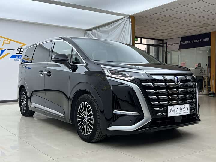 Фото 3 - Denza D9