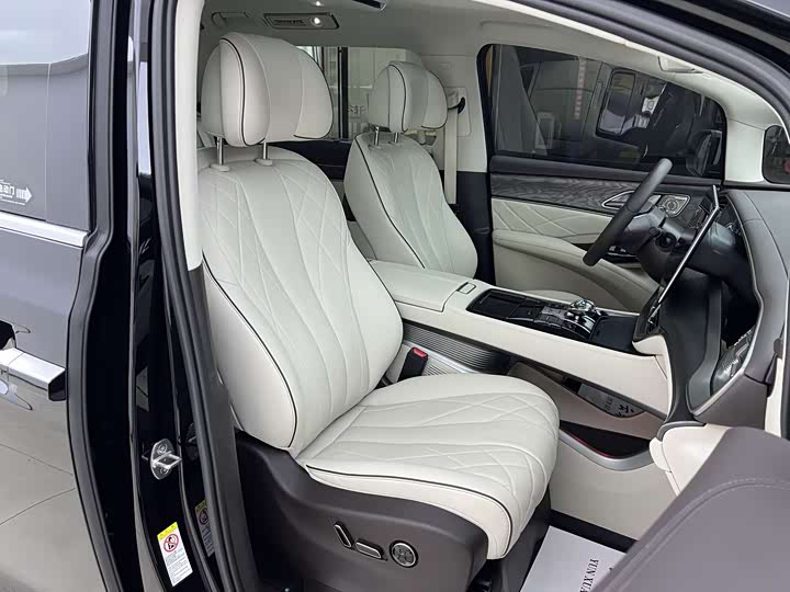 Фото 6 - Denza D9