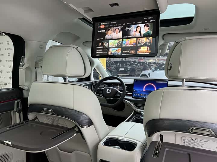 Фото 9 - Denza D9