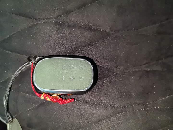 Фото 9 - Honda Elysion