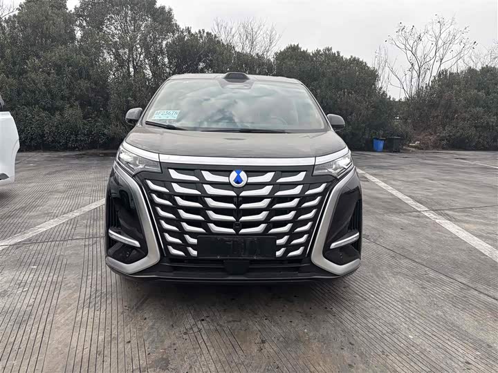 Фото 2 - Denza D9