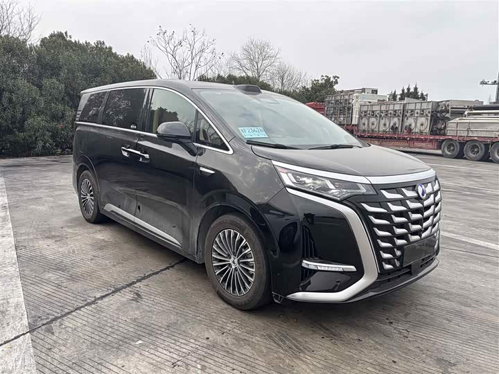 Фото 3 - Denza D9