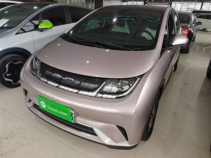 Фото 2 - BYD Dolphin