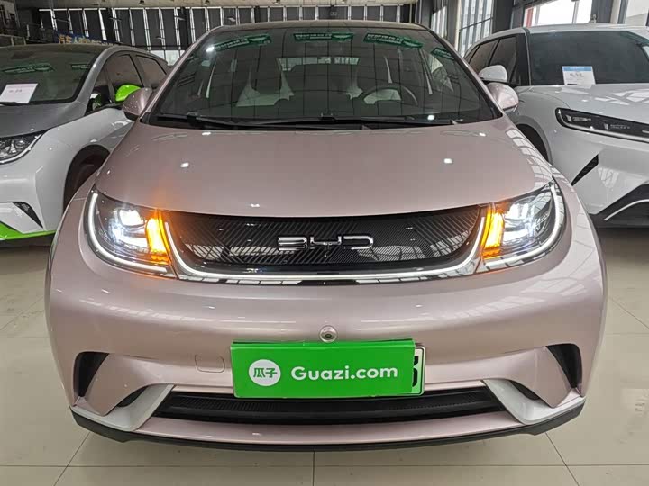 Фото 3 - BYD Dolphin