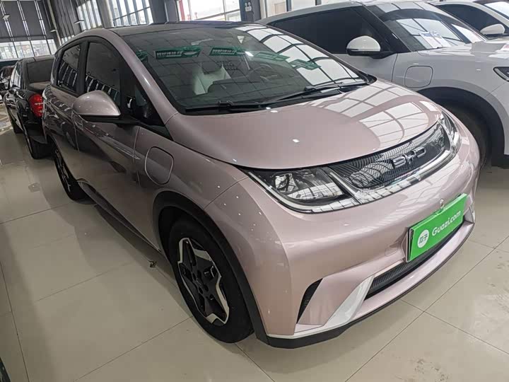 Фото 4 - BYD Dolphin