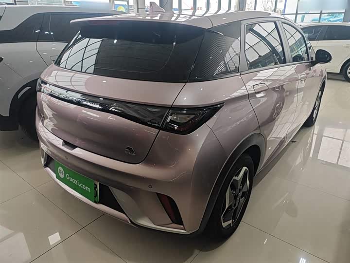 Фото 7 - BYD Dolphin