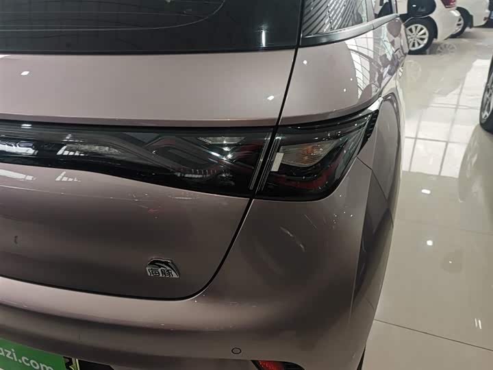 Фото 8 - BYD Dolphin