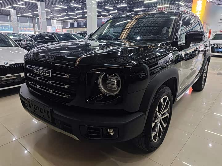 Фото 2 - Haval Dargo