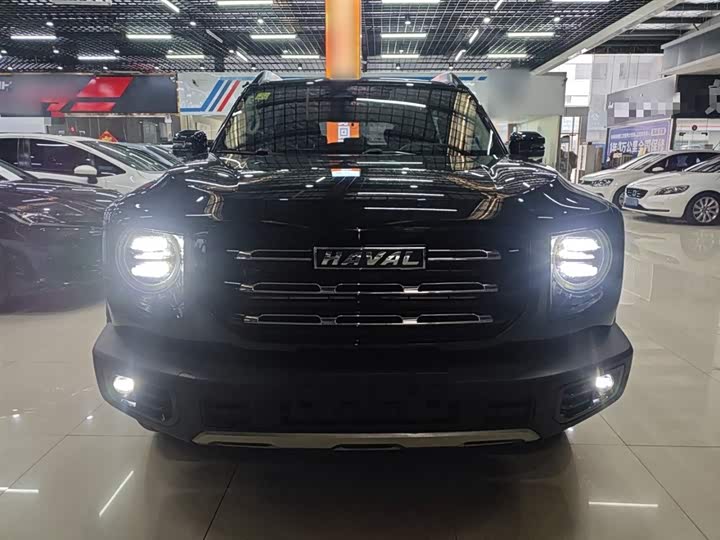 Фото 3 - Haval Dargo