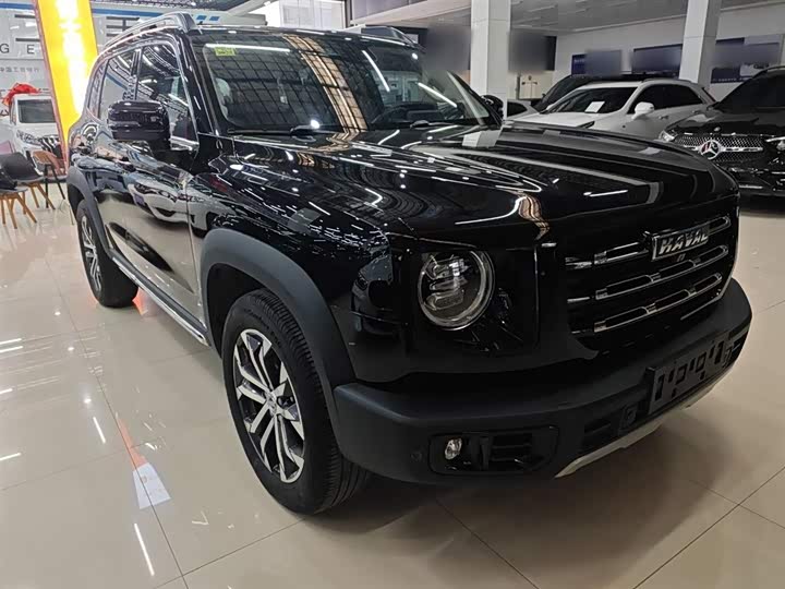 Фото 4 - Haval Dargo