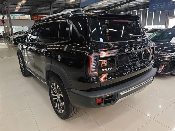Фото 5 - Haval Dargo