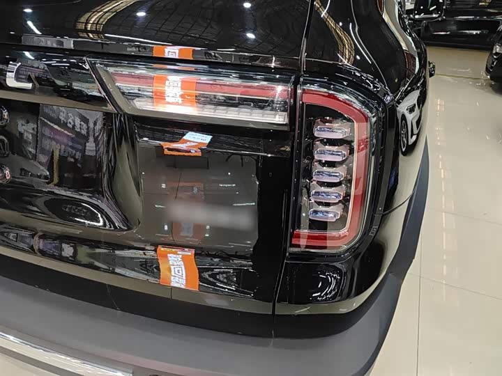 Фото 8 - Haval Dargo