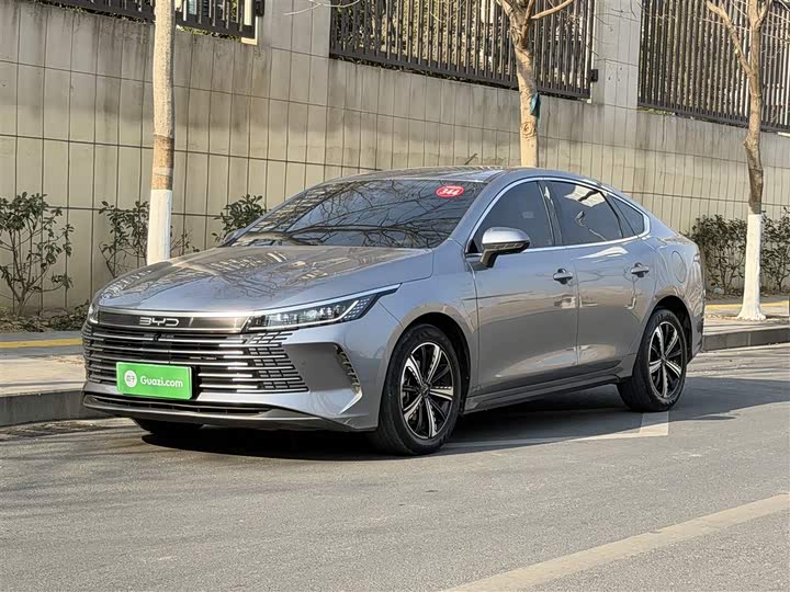 Фото 1 - BYD Destroyer 05