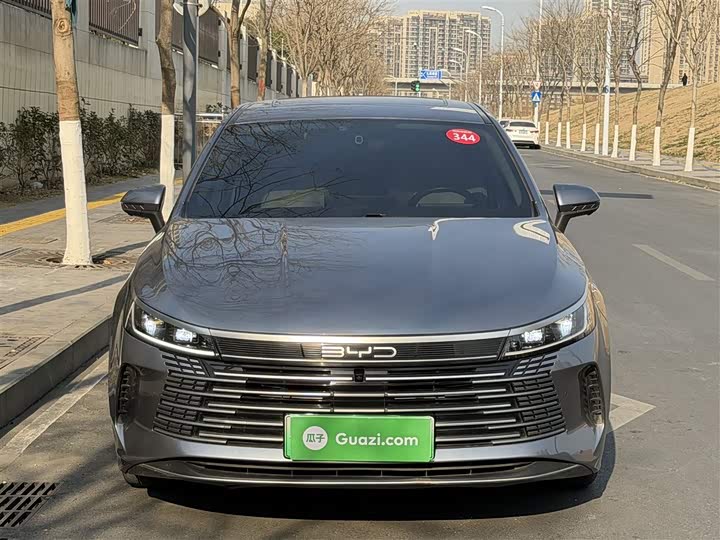 Фото 3 - BYD Destroyer 05