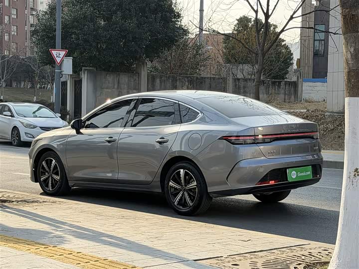 Фото 5 - BYD Destroyer 05