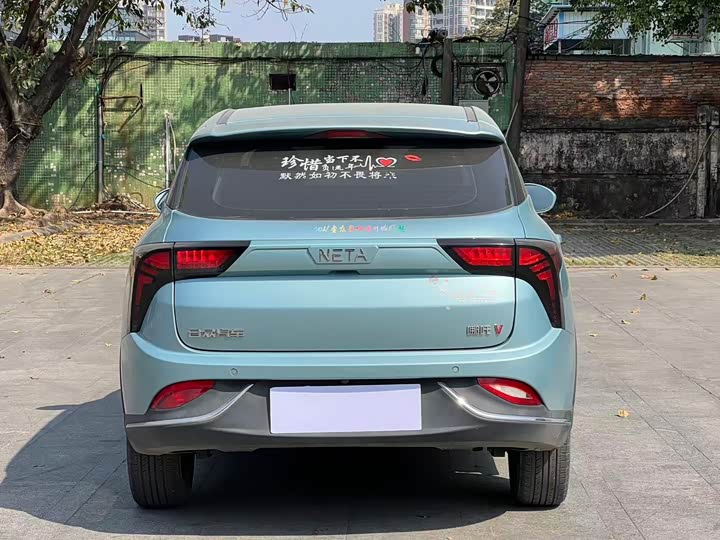 Фото 9 - Hozon V