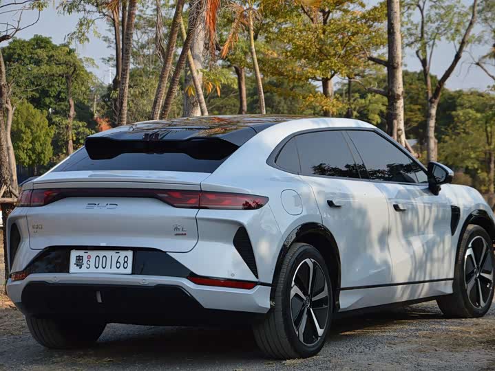 Фото 6 - BYD Song L