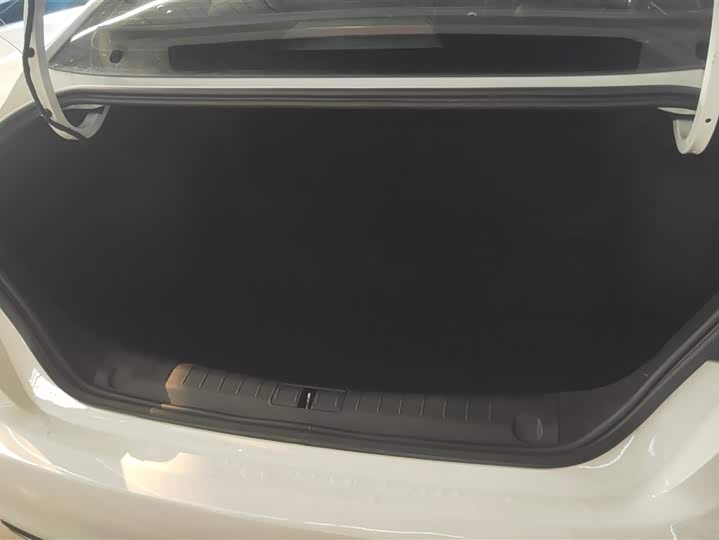 Фото 4 - Geely Binrui