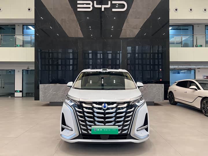 Фото 2 - Denza D9