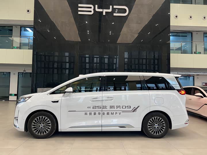 Фото 3 - Denza D9