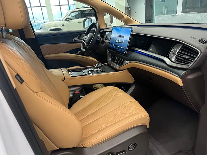 Фото 8 - Denza D9