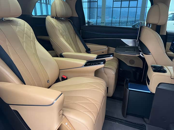 Фото 9 - Denza D9