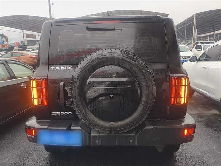 Фото 6 - Tank 300