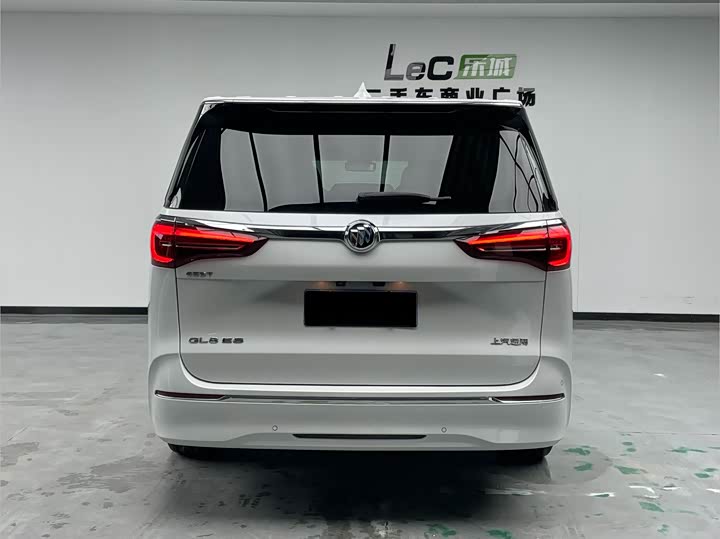 Фото 5 - Buick GL8 ES