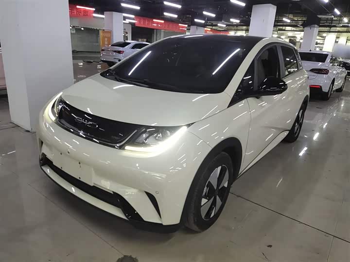 Фото 2 - BYD Dolphin