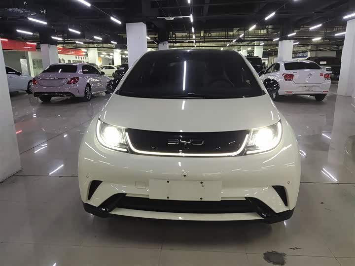 Фото 3 - BYD Dolphin