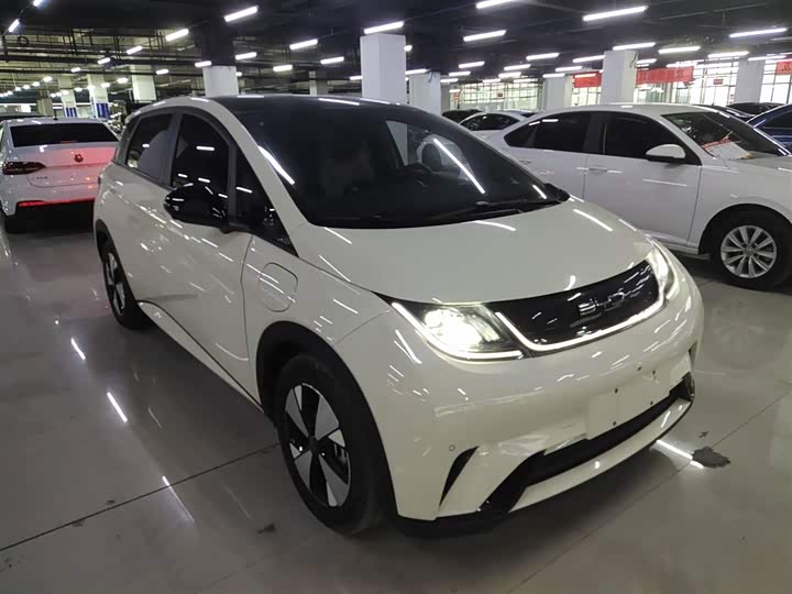 Фото 4 - BYD Dolphin