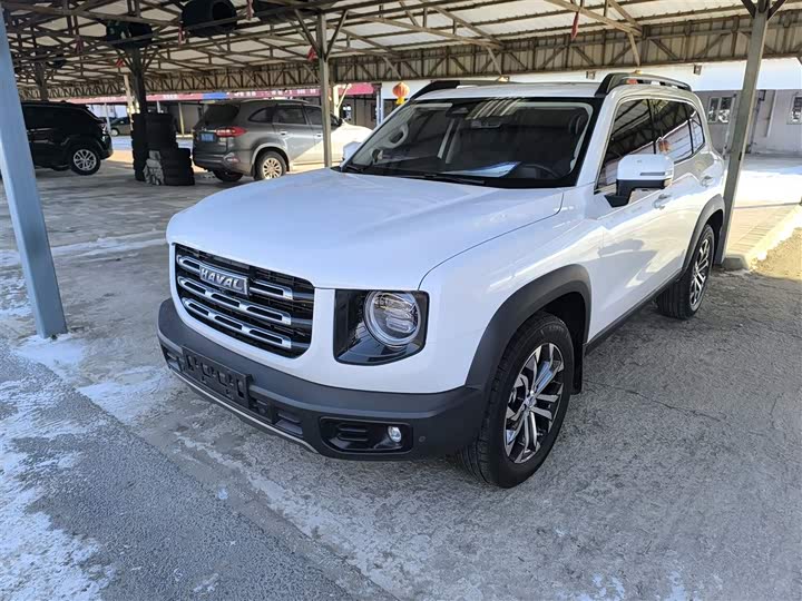 Фото 2 - Haval Dargo